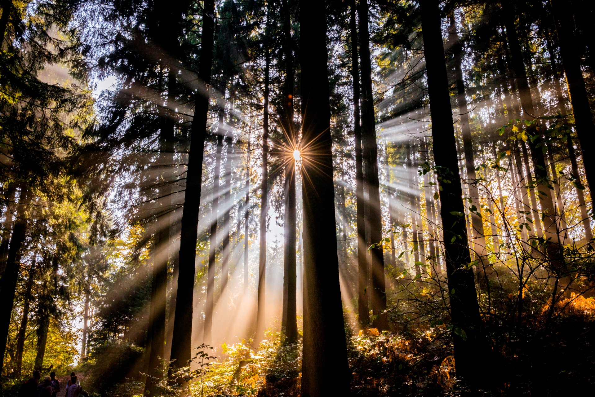 Stadt Borgholzhausen