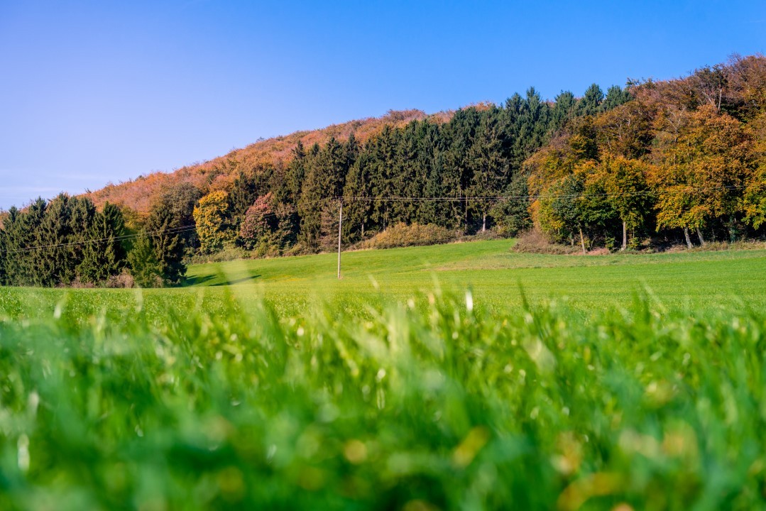 Stadt Borgholzhausen