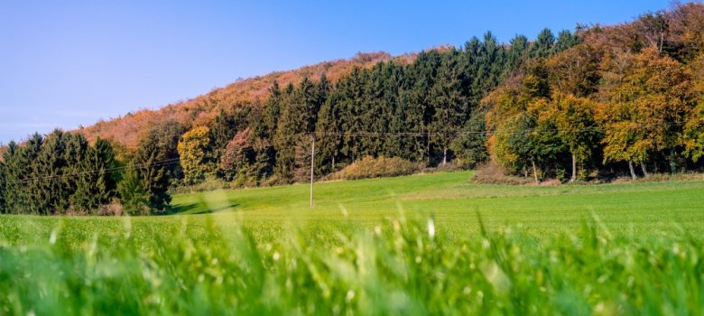 Stadt Borgholzhausen Stadt Borgholzhausen