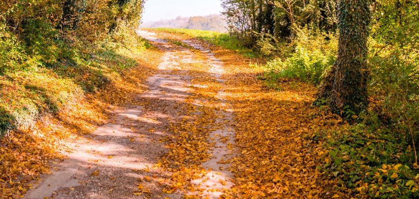 Stadt Borgholzhausen Stadt Borgholzhausen