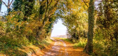 Stadt Borgholzhausen