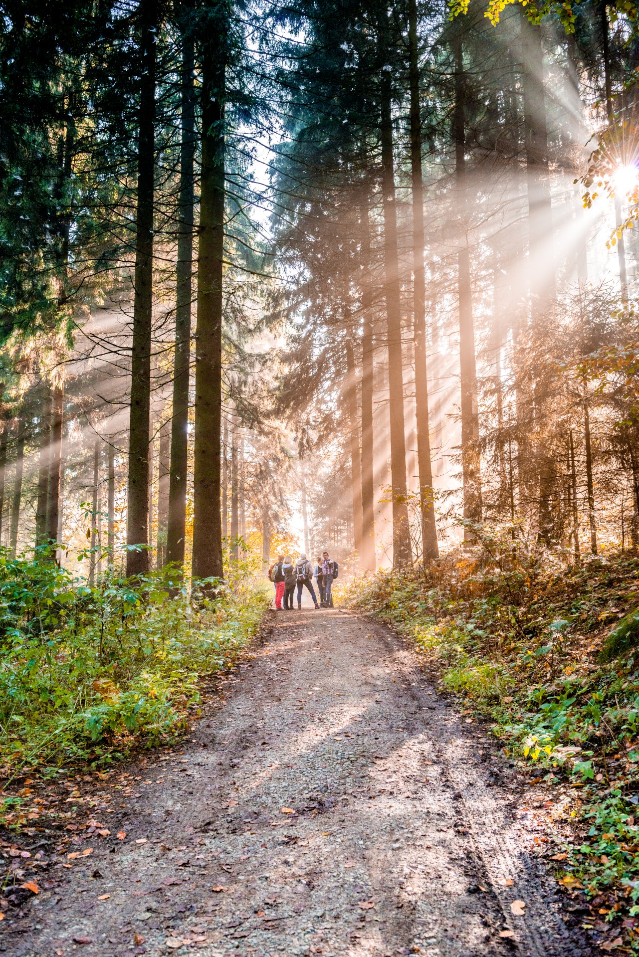 Stadt Borgholzhausen Stadt Borgholzhausen