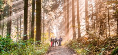 Stadt Borgholzhausen