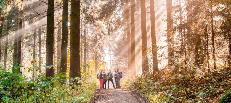 Stadt Borgholzhausen Wandern in Borgholzhausen