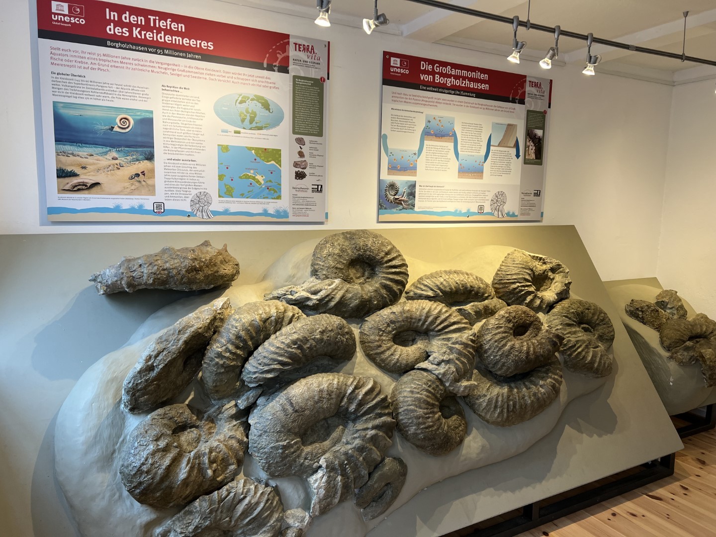 Stadt Borgholzhausen