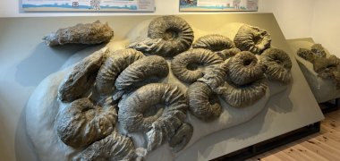 Stadt Borgholzhausen