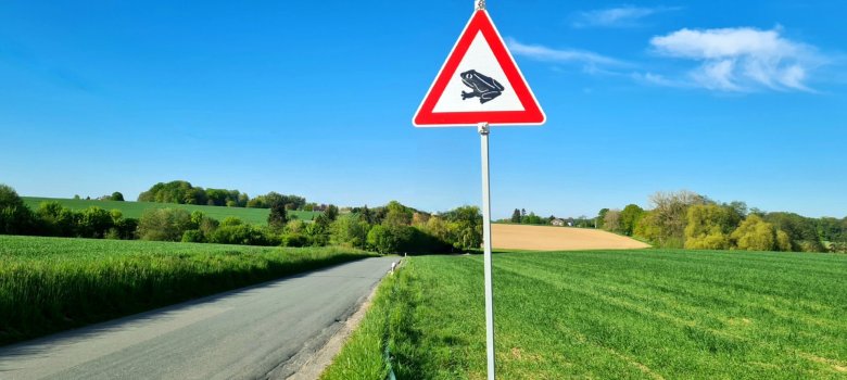 Amphibienwanderung Borgholzhausen