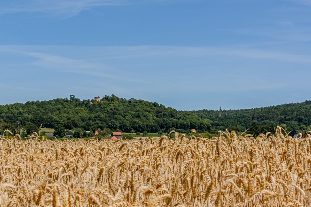 Burg Ravensberg Borgholzhausen