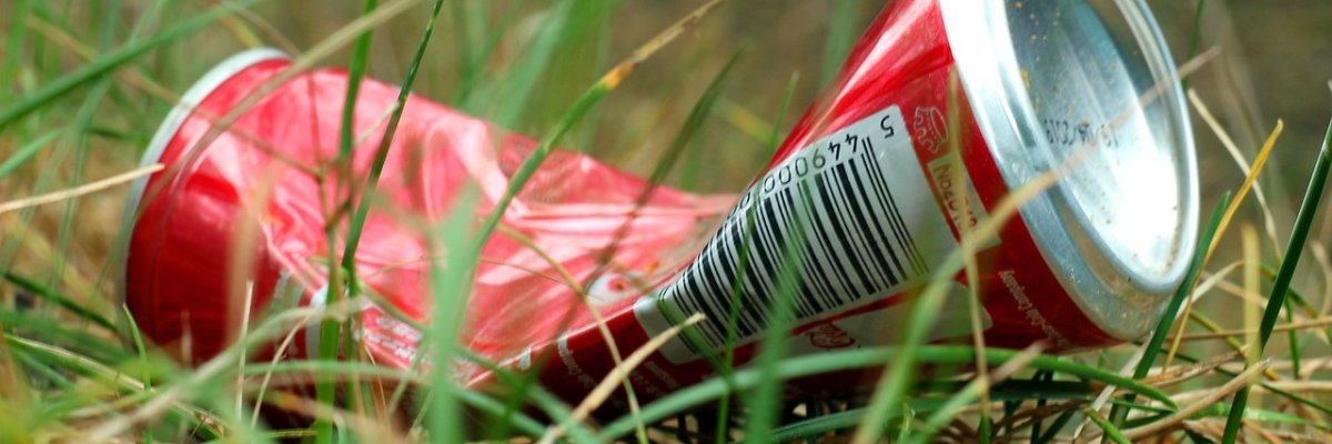 Abfall im Wald Abfall im Wald