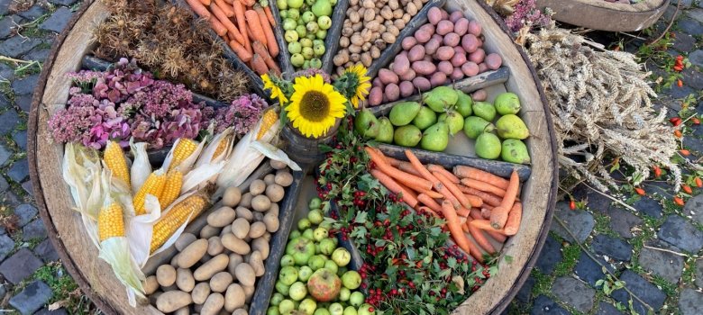 Stadt Borgholzhausen