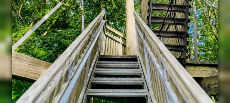 Stadt Borgholzhausen