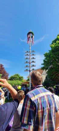 Maibaum aufstellen Borgholzhausen 2025 Maibaum aufstellen Borgholzhausen 2025