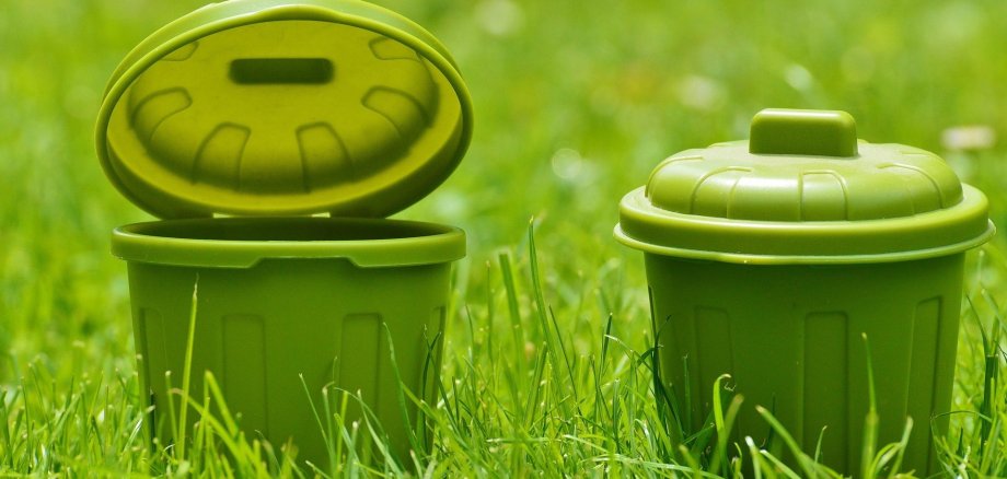 Abfall in Borgholzhausen