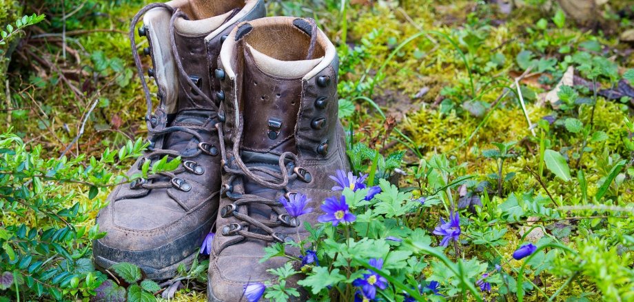 Kräuter Borgholzhausen