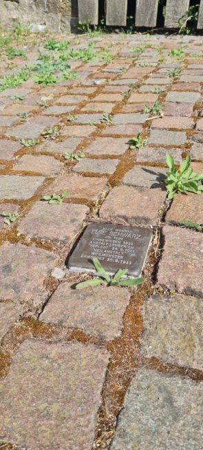 Stolperstein Borgholzhausen
