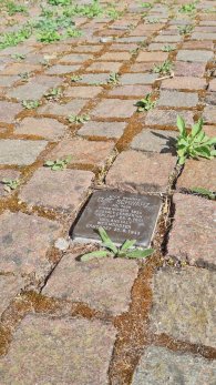 Stolpersteine in Borgholzhausen Stolpersteine in Borgholzhausen