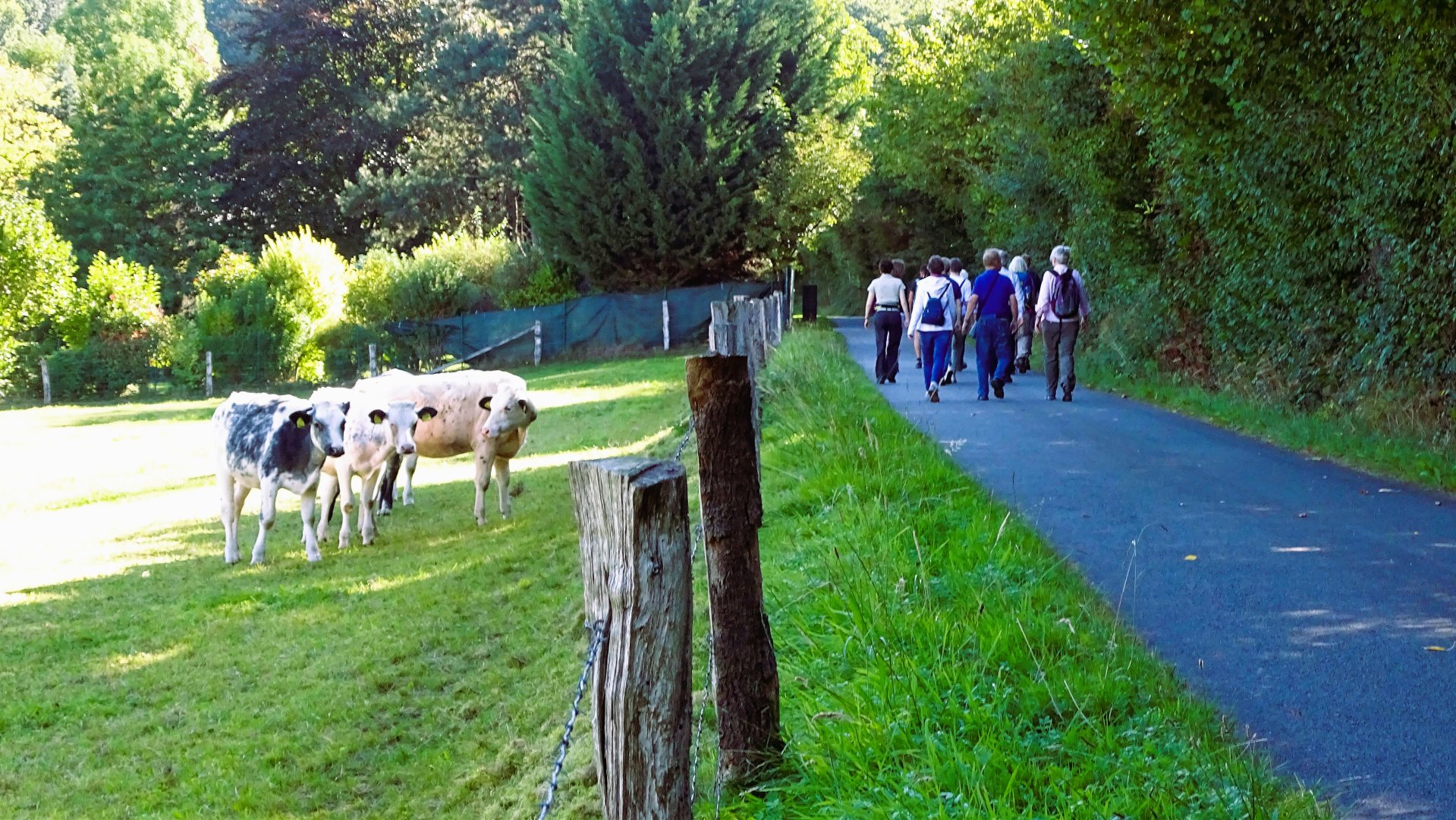 Wandern in Borgholzhausen Wandern in Borgholzhausen