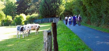 Wandern in Borgholzhausen