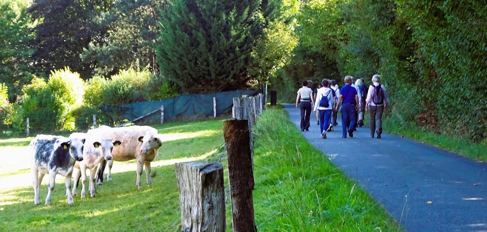 Wandern in Borgholzhausen