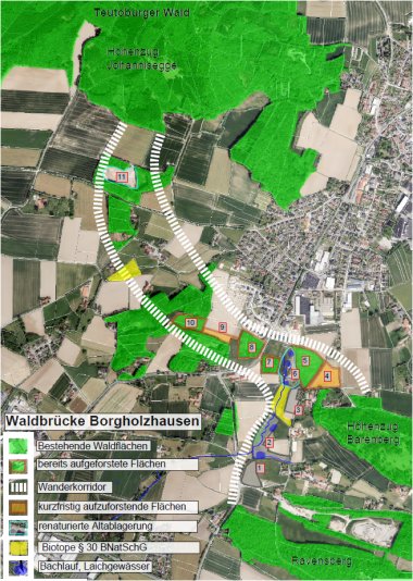 Planungen Waldbrücke Borgholzhausen