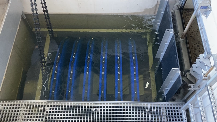 Hier ist das Klärbecken der 4. Reinigungsstufe zu sehen.